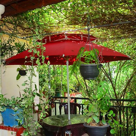 Hotel Tissa Rainbow Guest & Yala à Tissamaharama Extérieur photo